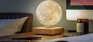 Gingko’s 2022 Gift of the year a sales success for The Present Finder
